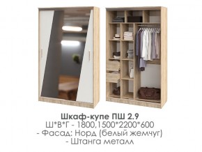 шкаф-купе ПШ-2.9 1500 Норд Белый жемчуг 1500 в Невьянске - nevyansk.magazin-mebel74.ru | фото