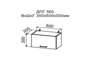 Шкаф верхний ДПГ500 горизонтальный в Невьянске - nevyansk.magazin-mebel74.ru | фото