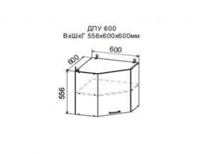 Шкаф верхний ДПУ600 угловой в Невьянске - nevyansk.magazin-mebel74.ru | фото