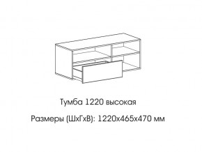 Тумба 1220 (высокая) в Невьянске - nevyansk.magazin-mebel74.ru | фото